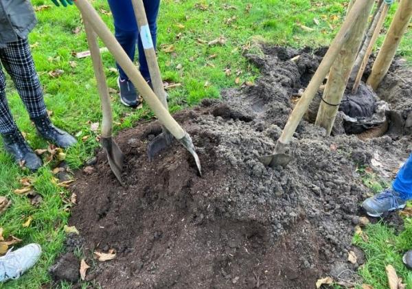 Hoop grond met scheppen